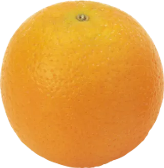 55_orange_PNG785