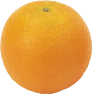 55_orange_PNG785 55_orange_PNG785