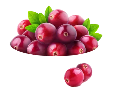 蔓越莓 (3)水果超市商品白底图免抠实物摄影png格式图片透明底