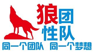 矢量狼性团队