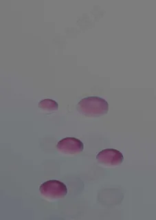 瀑布水域 231 瀑布水域 231
