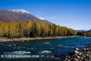 新疆阿勒泰禾木森林河流雪山风景