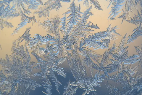 冰晶花图片 冰晶花图片