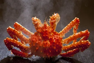 大闸蟹美食图片海鲜图片