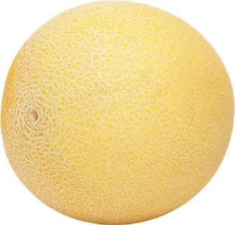 哈密瓜免抠素材 (30)