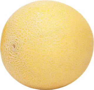 哈密瓜免抠素材 (30)