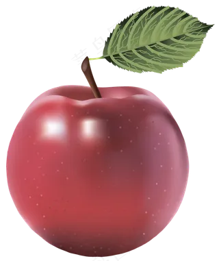 苹果免抠图片