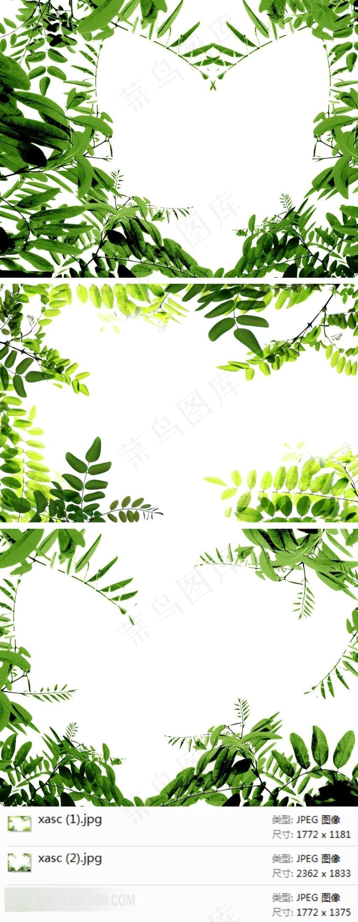 绿色树叶边框素材