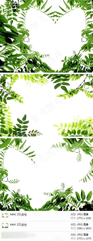 绿色树叶边框素材 绿色树叶边框素材