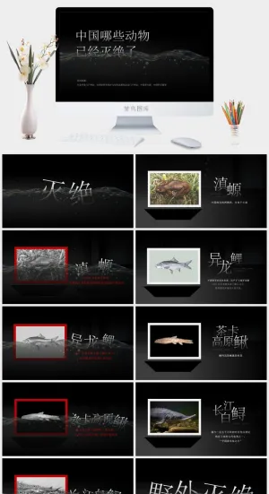 中国哪些动物已经灭绝？环境保护ppt模板预览图