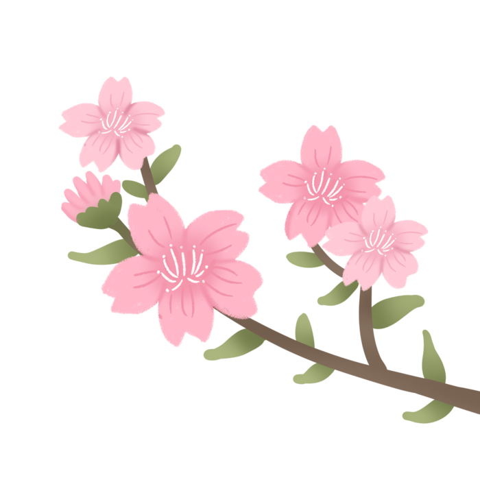 春天浪漫粉红色樱花手绘樱花梅花桃花花朵图片PNG免扣素材