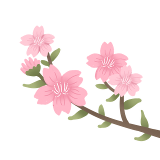 春天浪漫粉红色樱花手绘樱花梅花桃花花朵图片PNG免扣素材