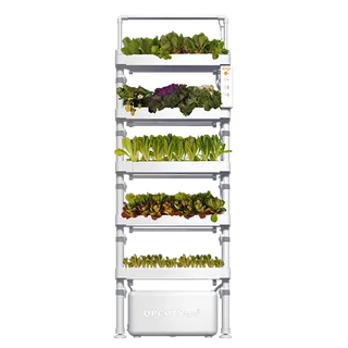 架子支架现代农业