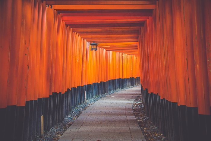 神社大门, 鸟居隧道, 小路, 伏见稻荷大社