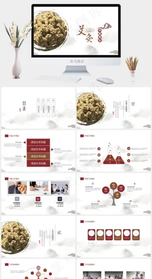 中药中医治病PPT模板ppt模版预览图