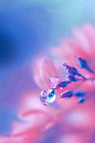 粉蓝渐变鲜花唯美水滴手绘插画