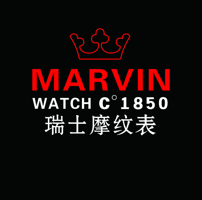 瑞士摩纹表LOGOcdr矢量模版下载