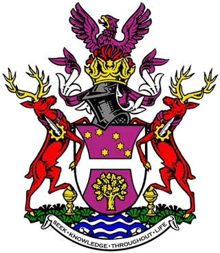 元素徽章素材卡通