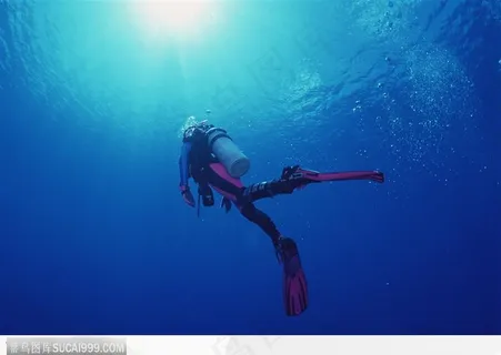 潜水出海面 潜水出海面