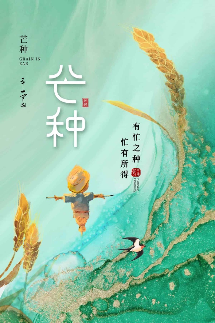 芒种 芒种营销海报