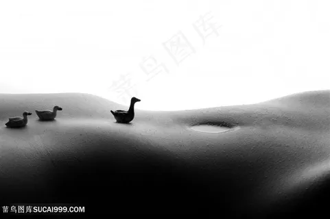 创意性感美女身体风景高清