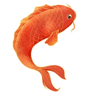 手绘烫金国潮中国风卡通锦鲤鱼金鱼插画装饰元素PSD设计素材