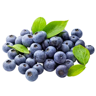 76蓝莓 (2)水果超市商品白底图免抠实物摄影png格式图片透明底