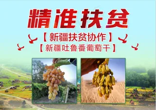 2021|新疆|特产|拱门|装饰|物料
