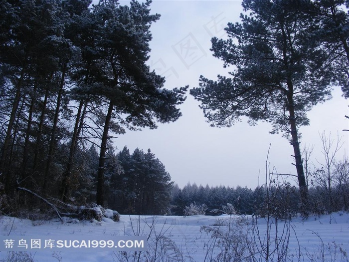 山林冬雪摄影图片