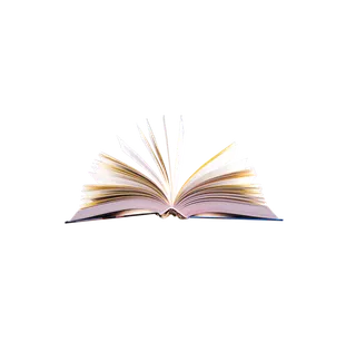 翻开的书本阅读