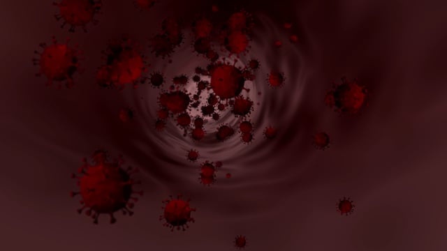 电晕, 病毒, -, 流行, 流行病, 隔离区