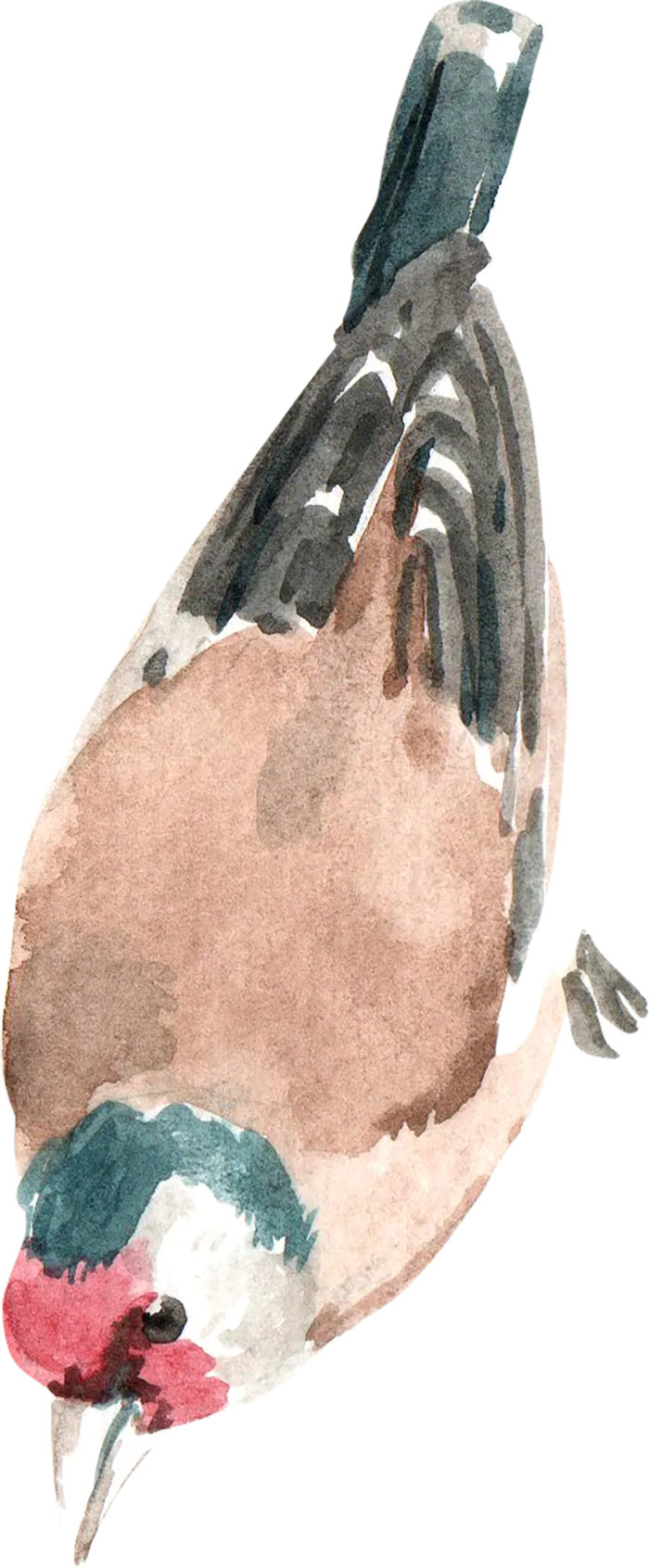插画免抠高清素材