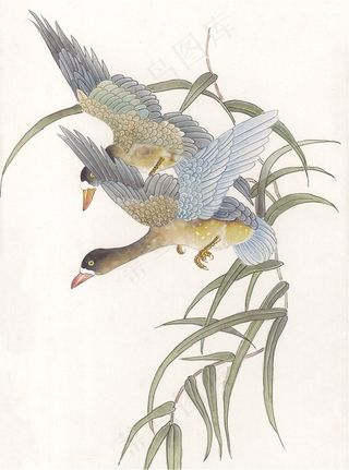 国画花鸟中国画摄影图片