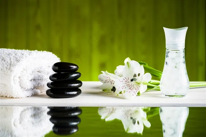 精美鹅暖石SPA插画高清图片素材