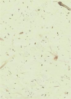 浅绿色颗粒背景图