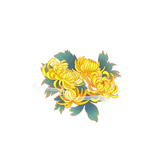 手绘秋季唯美中国风重阳节九月中秋节黄菊菊花免扣菊花素菊花元素 
