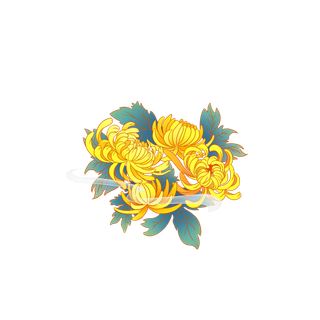 手绘秋季唯美中国风重阳节九月中秋节黄菊菊花免扣菊花素菊花元素 