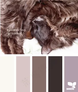 动物配色色卡色彩搭配