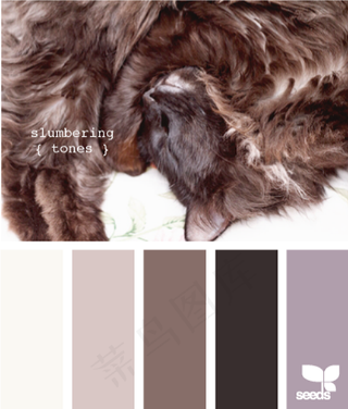 动物配色色卡色彩搭配