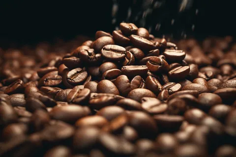 咖啡豆摄影图