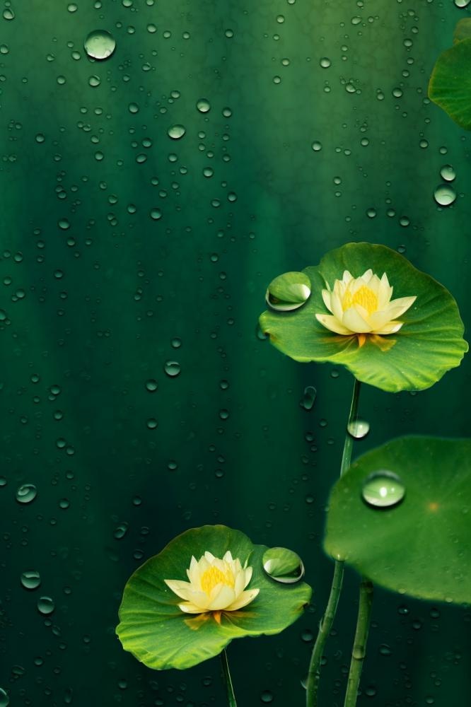 中国风传统绿色莲花简约背景