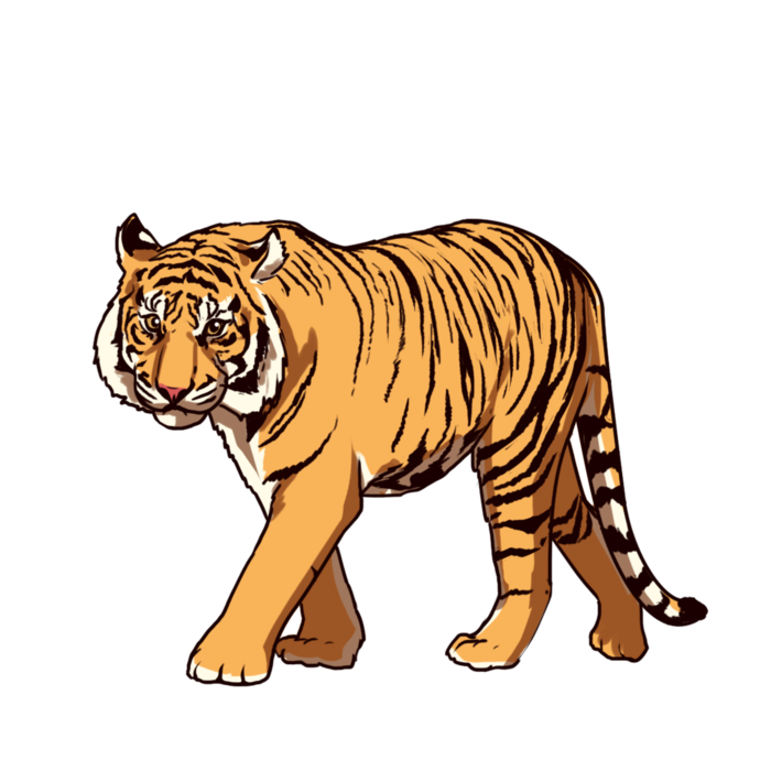 卡通小老虎PNG免抠插画素材可爱动物老虎插画贴图PNG免抠设计素材