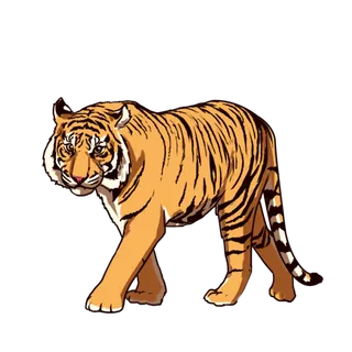 卡通小老虎PNG免抠插画素材可爱动物老虎插画贴图PNG免抠设计素材