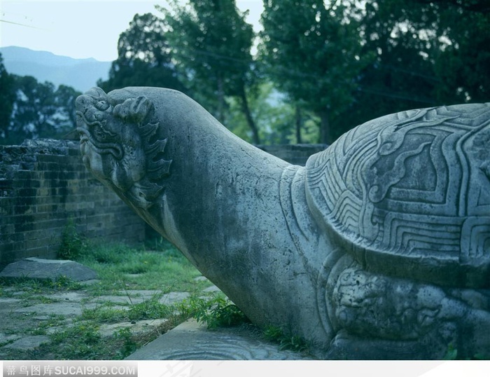 明十三陵-神兽乌龟头部
