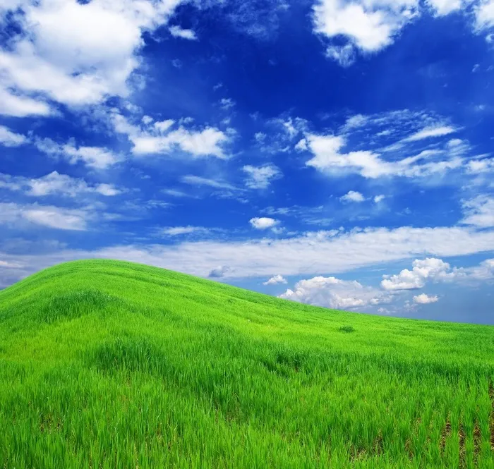 草地天空风景图片下载