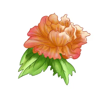 手绘国潮中国风古典牡丹花国花花卉装饰图案PSD设计素材