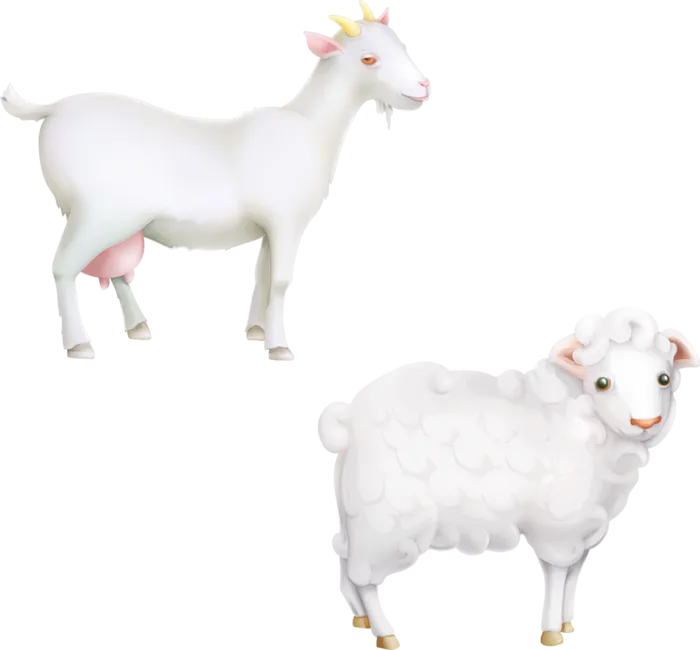 羊儿卡通现代农业