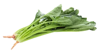 菠菜 (2)超市商品白底图免抠实物摄影png格式图片透明底