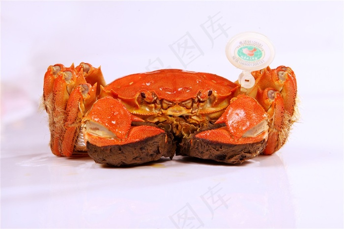 海鲜美食大闸蟹