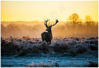 装饰画|客厅|海报画|电表箱装饰画|挂画
